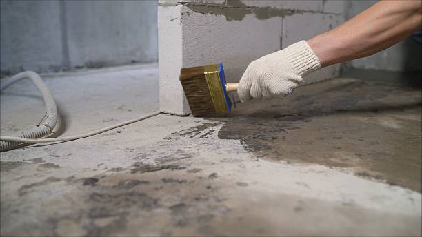 SJ Waterproofing Pros Exterior Waterproofing coverage map for Collins, WI and surrounding area